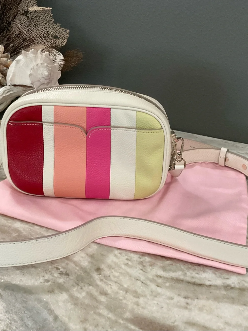 kate spade Astrid Camera Bag Striped Leather Crossbody